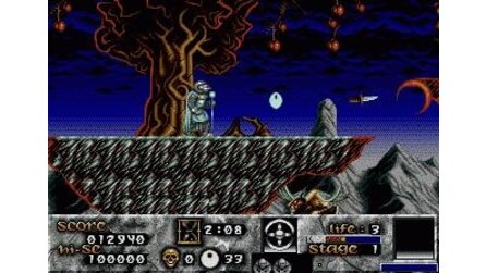 Risky Woods Sega Mega Drive