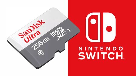 Letzte Chance - 256 GB Speicherkarte für Nintendo Switch zum Bestpreis [Anzeige]