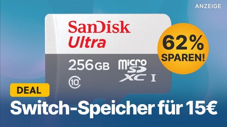 Mehr Speicher für die Switch: 256 GB microSD-Speicherkarte jetzt für nur 15€ im Angebot