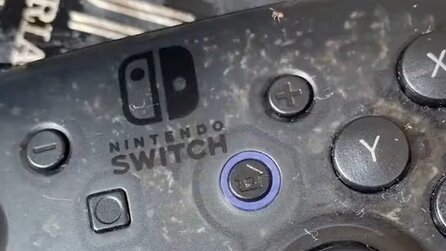 Switch-Spieler zeigt Pro-Controller, in dem sich massenhaft kleine Tierchen eingenistet haben und eine wilde Party feiern - uns wird ein bisschen schlecht