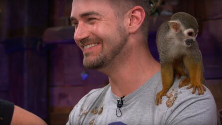 Affe kotzt Entwickler während Sea of Thieves-Livestream an