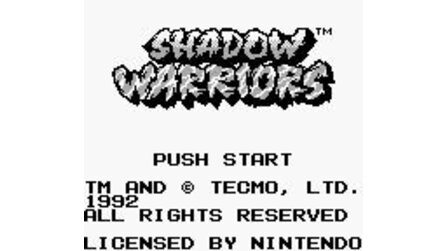 Shadow Warriors Game Boy