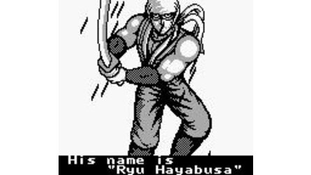 Shadow Warriors Game Boy