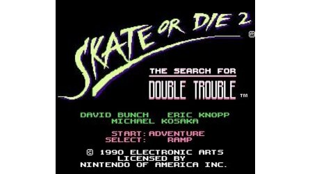 Skate or Die 2: The Search for Double Trouble NES