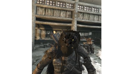 The Elder Scrolls 5: Skyrim VR - Screenshots aus der VR-Version
