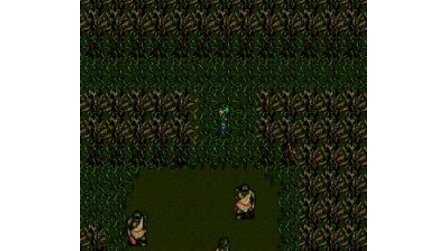 Sorcerers Kingdom Sega Mega Drive