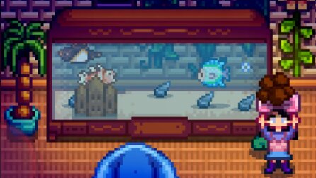 Stardew Valley: Kleines Aquarium-Detail begeistert die Community und ihr könnt es ganz einfach nachbauen