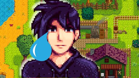 Hat mir das Herz gebrochen: Stardew Valley-Fan heiratet Sam und entdeckt, dass Sebastian danach weiter ganz allein in Sams Zimmer zur Bandprobe geht