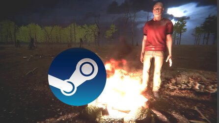 Hacker verschafft sich Zugang zum Steam-Accounts eines Entwicklers, updatet das Spiel und klaut so Passwörter + Browser-Daten von Spielern
