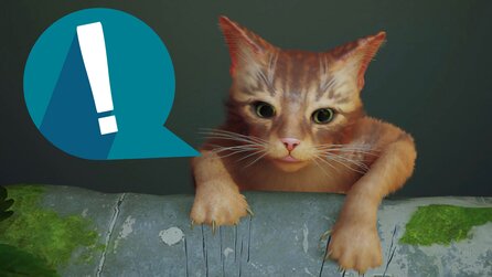 Strays Mich kriegst du nicht!-Trophäe ist einfach nur zum (Fell-)Haare raufen