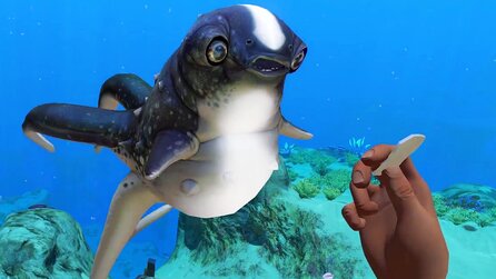 Subnautica - Trailer zum Early-Access-Dankeschön: Süßer Fisch-Begleiter gibt High Five