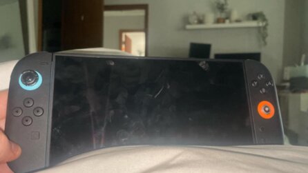 Switch 2-Spieler bringt Konsole zu seinem Vater, kommt nach 5 Minuten wieder und Hund hat Joy-Con-Stick abgebissen: Bin froh, dass es geschmeckt hat