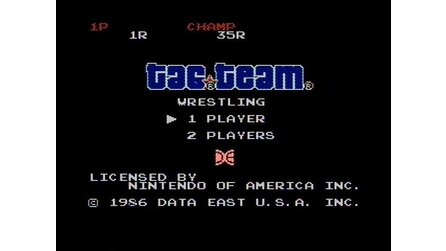 Tag Team Wrestling NES