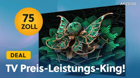 Mein persönlicher Preis-Leistungs-Sieger bei 4K-TVs ist mit 75 Zoll gerade unfassbar günstig!
