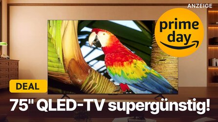 75 Zoll QLED 4K-TV im Prime Day-Angebot: Diesen 144Hz-Fernseher haut Amazon jetzt zum Top-Preis raus!