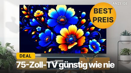 Der günstigste 75-Zoll-Fernseher in ganz Deutschland: 4K-TV dank Amazon-Angebot jetzt zum absoluten Spitzenpreis abstauben!