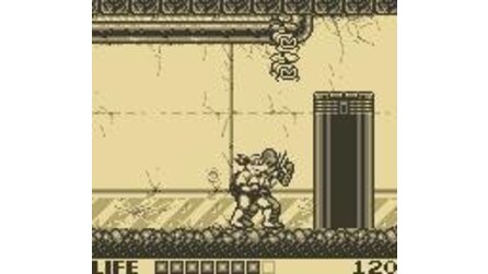 Teenage Mutant Ninja Turtles: Fall of the Foot Clan Game Boy
