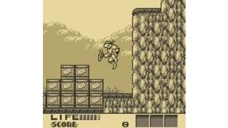 Teenage Mutant Ninja Turtles III: Radical Rescue Game Boy