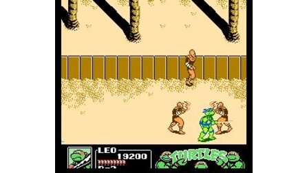 Teenage Mutant Ninja Turtles III: The Manhattan Project NES