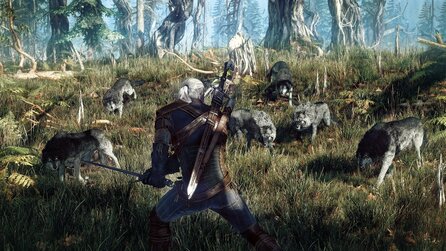 The Witcher 3: Wild Hunt - Soll immens hohe Inhaltsdichte bieten