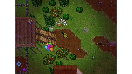 Tibia - Screenshots zum Oldschool-MMORPG