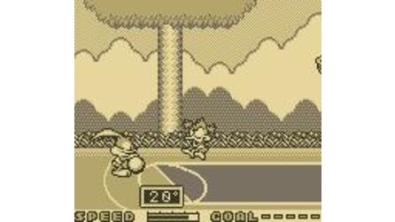 Tiny Toon Adventures: Wacky Sports Challenge Game Boy