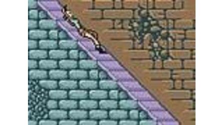 Tomb Raider Game Boy Color