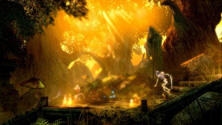 Trine: Enchanted Edition - PS4- und Wii-U-Versionen angekündigt