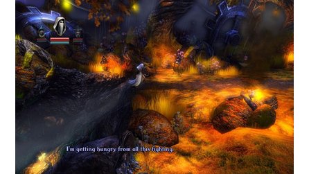 Trine - Effektreiche Screenshots aus dem Actionspiel