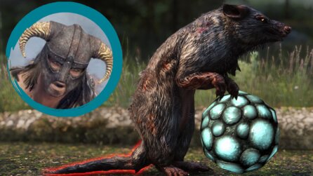 Ekel-Essen in Skyrim: Ein Fußteil dreht euch ganz besonders den Magen um