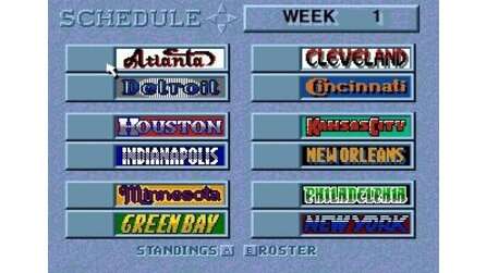 Unnecessary Roughness 95 Sega Mega Drive