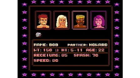 Venice Beach Volleyball NES