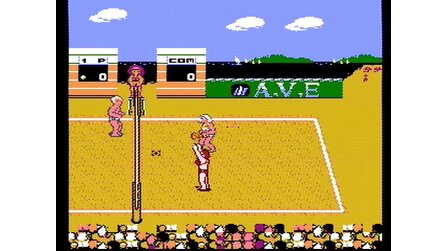 Venice Beach Volleyball NES