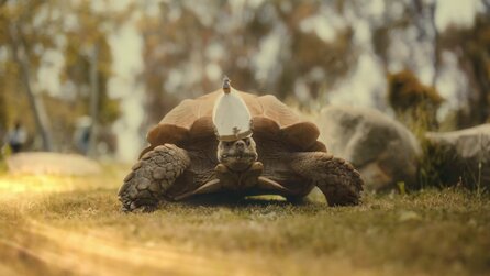 Teaserbild für Der neue Elden Ring-DLC-Trailer zeigt eine echte Papst-Schildkröte und das müsst ihr gesehen haben