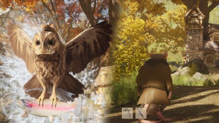 Neues RPG Hawthorn steckt euch als kleines Tier in den Mittelalter-Wald + erinnert wohlig an Skyrim