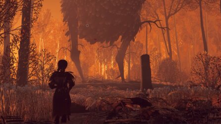 Hexenspiel Reka kündigt neues Update an: Mehr Quests, mehr gärtnern + ihr könnt mit Tieren sprechen