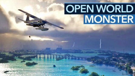Naturkatastrophen, Stadtteile + Tierwelt: So LEBENDIG wird die Open World von GTA 6!