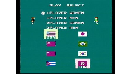 Volleyball NES