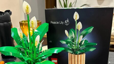 LEGO-Sammler hat unfassbares Glück: Supermarkt verkauft ihm neues Blumen-Set, das eigentlich erst im Januar 2026 erscheint