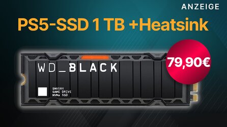 PS5-SSD günstig wie nie: SN850X 1 TB mit Heatsink für kurze Zeit zum Bestpreis schnappen