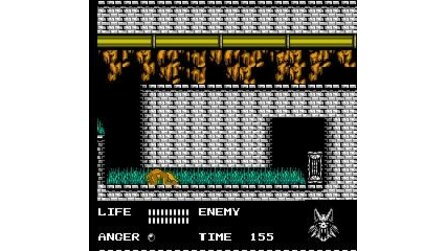 Werewolf: The Last Warrior NES