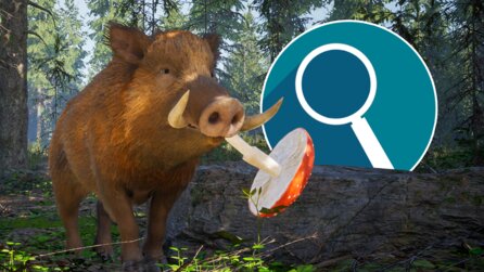 In diesem Spiel seid ihr ein Wildschwein, lebt im Wald und müsst euren verlorenen Nachwuchs wiederfinden