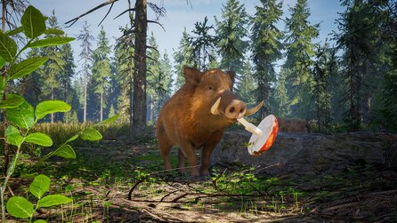 Wild Terrain - Offizielle Screenshots der PC-Version