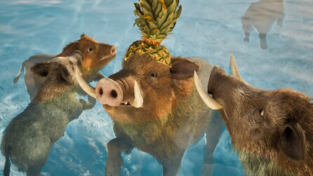 Wild Terrain - Offizielle Screenshots der PC-Version