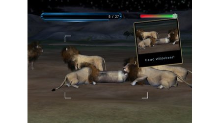 Wild Earth: African Safari - Per Wii-Mote auf Entdeckungstour