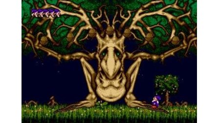 Wiz n Liz and the Frantic Wabbit Wescue Sega Mega Drive