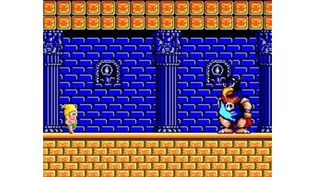 Wonder Boy Sega Master System