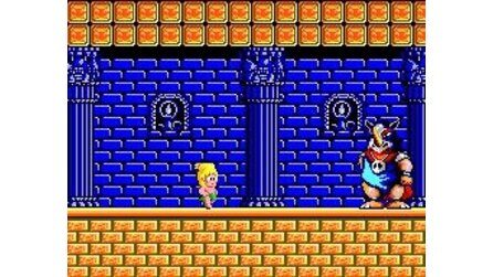 Wonder Boy Sega Master System