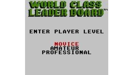 World Class Leader Board Game Gear