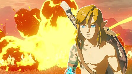 Zelda Tears of the Kingdom: Explosiver Pfeiltrick lässt euch wertvolle Donnerblumen sparen